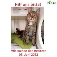 thumb_Fundtiere FB thumb_Fundtiere FB
